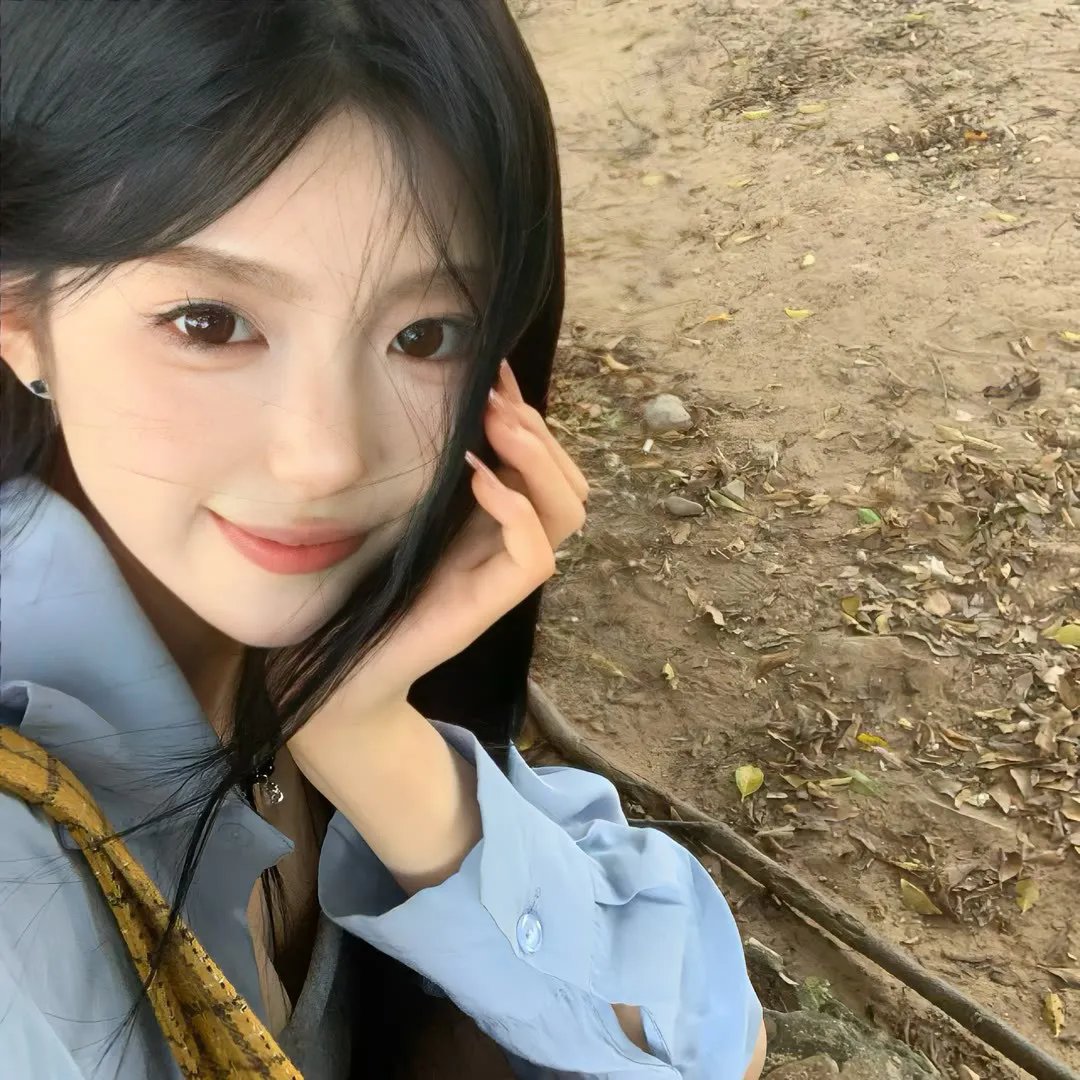 月季花开